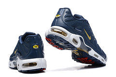 Nike Air Max Plus “French Football Federation”